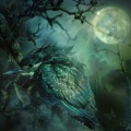 Sleep Music、Phascoi、Boost of Harmony - Binaural Sleep's Cadence