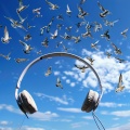 432 Hz Frequencies、Bird Sounds、Chakra Waves - Feathered Performance Tune
