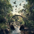 Binaural Creek Melodies: Birds in Nature's Symphony - 92 88 Hz