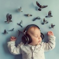 Fortitude Square、Birds On Television、Hertz-Hunters - Sleepy Sky Echo