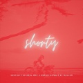 El Dollar、Destiny The Real Boy、KBP EL ALIEN - Shorty