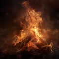 Pets’ Fire Chill: Soothing Warm Sounds