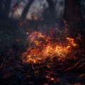 Gentle Music for Babies、Baby Dream、Reiki Healing Academy - Calm in the Baby's Night Fire