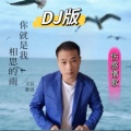 你就是我相思的雨 (DJ默涵版)