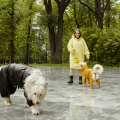 멜로우 - Walks and picnics