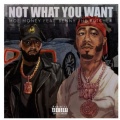 Not What You want (This Aint)(Explicit)