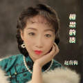 赵育梅 - 相思的债