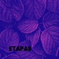 Mujabbet Alinn - Etapas