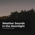 Weather Sounds in the Moonlight