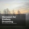 Rain Sounds Nature Collection、ASMR Rain Sounds、Sleepy Rain - Rain Falling in Nature
