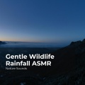 Gentle Wildlife Rainfall ASMR