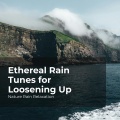 Nature Rain Relaxation、Rain Recorders、Rainfall - Jungle in Harmony