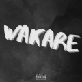 icewater - WAKARE (Explicit)