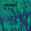 Mujabbet Alinn - Perros