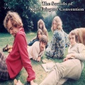 Fairport Convention - Si Tu Dois Partir