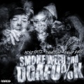 Smoke **** and DGAFU%K (feat. Snoop Dogg & Shontelle)(Explicit)