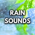 Nature Sounds for Sleep and Relaxation、Rain for Deep Sleep、White Noise For Sleeping - Steady Rain and Thunder (Loopable, No Fade Out)