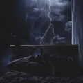 Wave Sleep、Rainy Forest、Pecun - Night’s Thunder Deep Calm