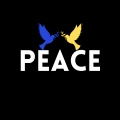 Zandei、King Koky - Peace (Remix|Speed Version)