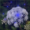 Duplex-Ache - Angel's  Flower