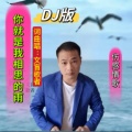 你就是我相思的雨 (DJ何友版)