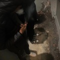 Wit Me Or Not (Explicit)