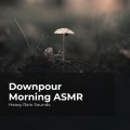 Downpour Morning ASMR
