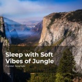 Forest Sounds、Ambient Forest、Rainforest Sounds - Lost in the Forest