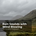 Rain Sounds & White Noise、Raindrops Sleep、Sleep Rain - Rain in the Pavement