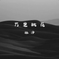 林泽 - 万里桃花