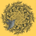 Acacia Komodo、Carmela - Intermolecular Forces 4