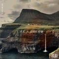 DNDM、Umar Keyn - Like a Dream (feat. Umar Keyn)