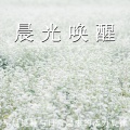 轻松治愈 - 阳光洒在窗台上