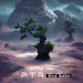 Little Tree (Feat. PTR)