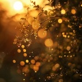 Meditación Con Lluvia: Sonidos Relajantes Para La Conciencia Plena