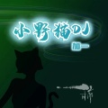 加一 - 小野猫