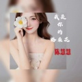 陈慧慧 - 我是你的格桑花