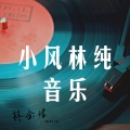 小风林纯音乐