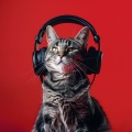 Mascotas tranquilas、Sonidos de aguas tranquilas、Reiki para animales - Calma Binaural Para Las Mascotas