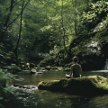 Campanas Koshi Relax、Flujo de agua definitivo、Estados de ánimo binaurales - Profundidad De Relajación Binaural