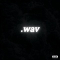 Shaya - Wav