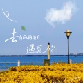 鱼妄淂、花绎辞 - 去有风的地方