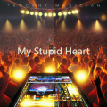 My Stupid Heart (DJHY remix) (Remix)