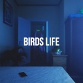 Birds Life