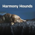 Harmony Hounds