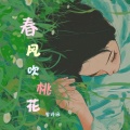 曾诗涵 - 春风吹桃花