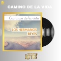 Camino de la Vida