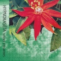 Yannis Kyriakides、Andy Moor、Quatuor Bozzini - Hypnokaséta V