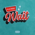 Wait (Explicit)