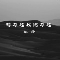 林泽 - 对不起我给不起